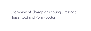 Champion of Champions Young Dressage Horse top and Pony bottom