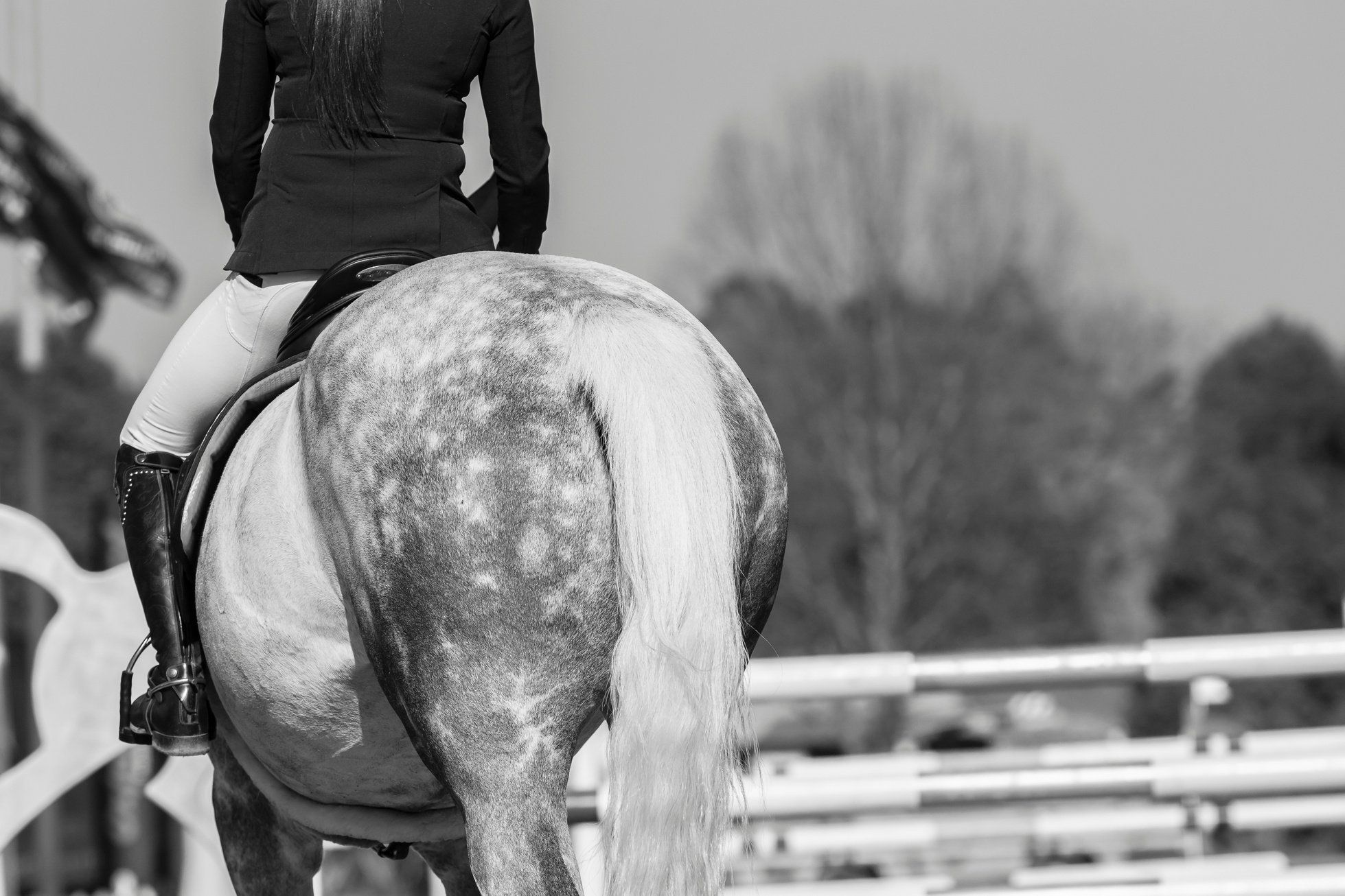 Horse Rider Show Jumping Vintage