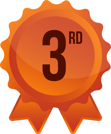 3rd Bronze Medal Achievement Reword